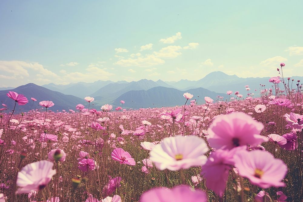  Nature background flower field landscape. AI generated Image by rawpixel.