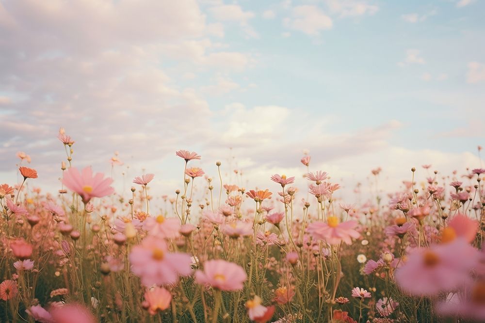  Nature background flower field backgrounds. AI generated Image by rawpixel.