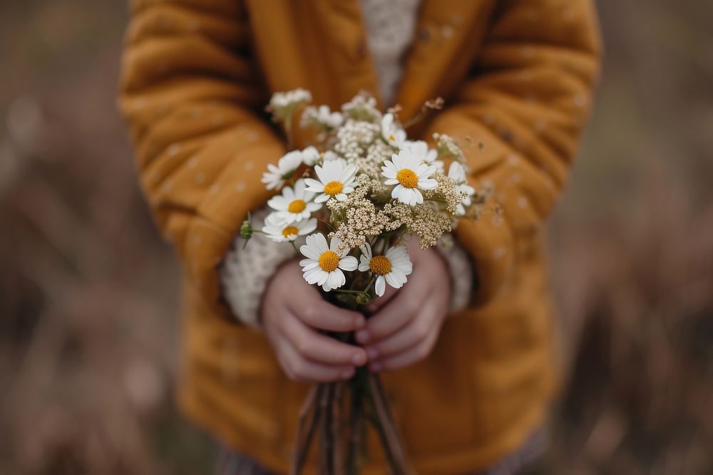 Kid holding flowers plant adult inflorescence.