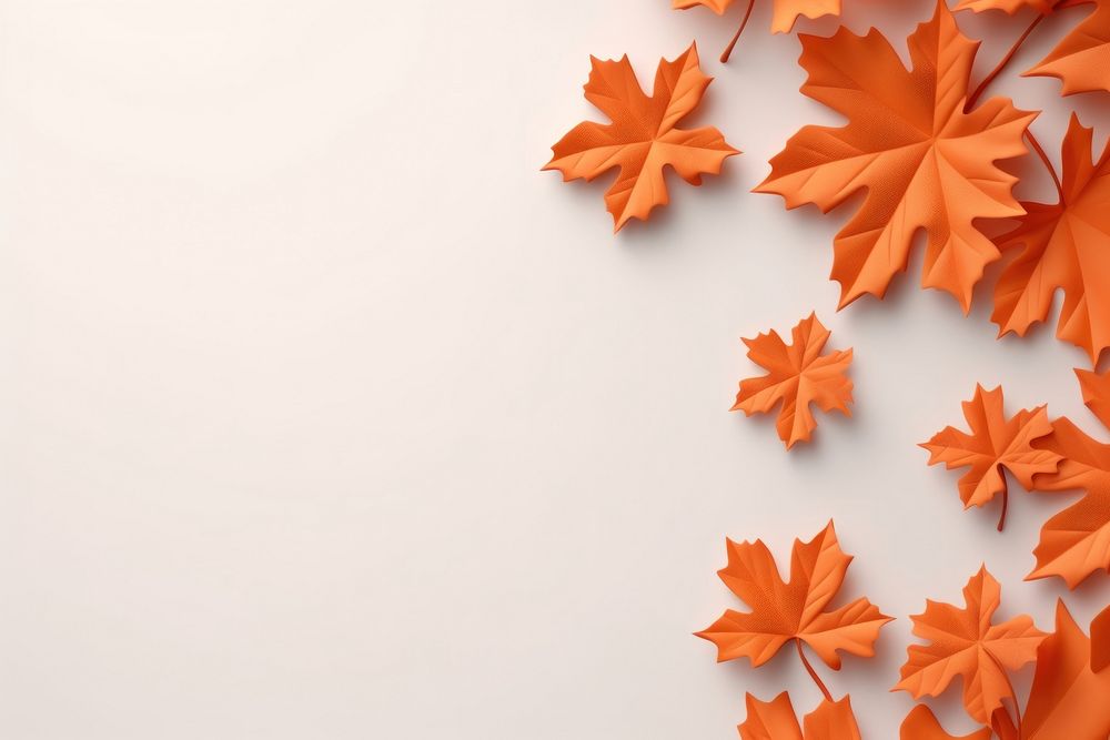 Maple leaves border backgrounds nature plant.