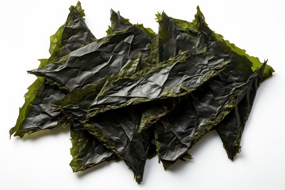 Crispy nori seaweed flakes plant leaf vegetable.