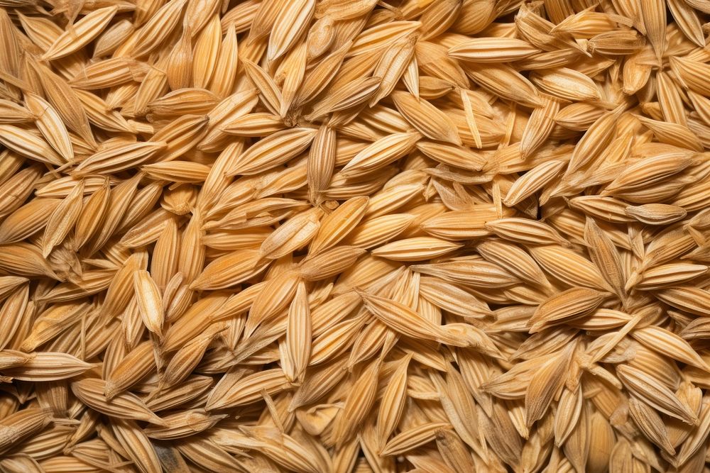 Dried oats food agriculture backgrounds.