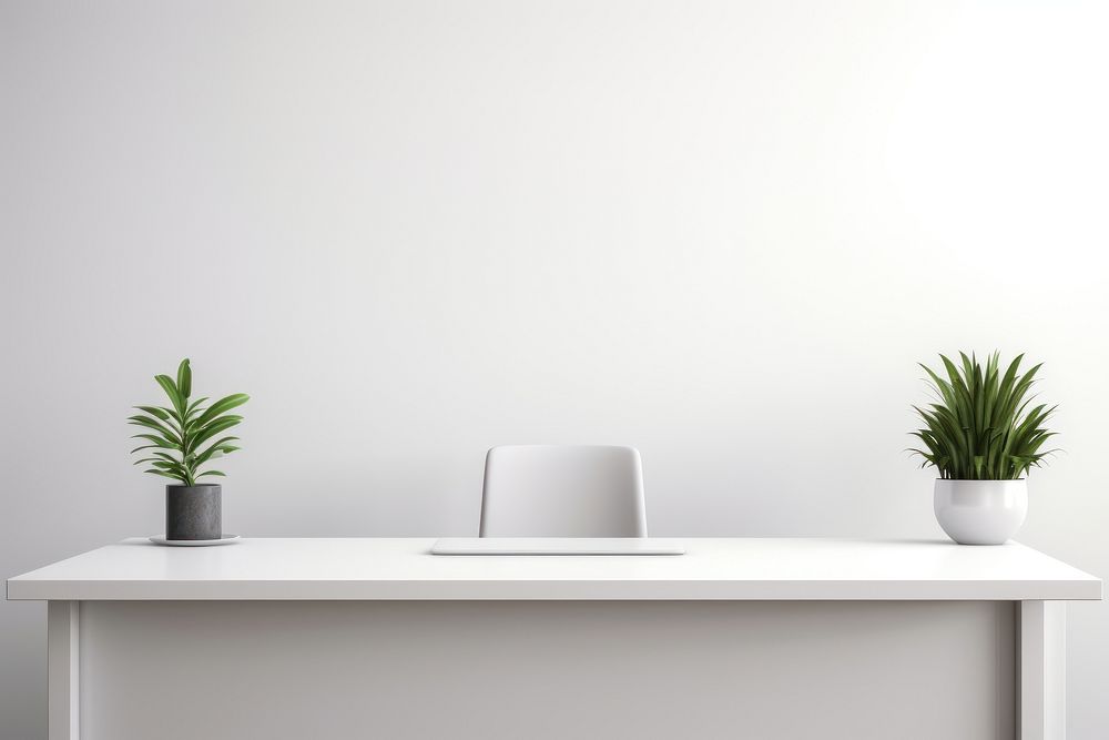 Minimalist office desk furniture table plant.