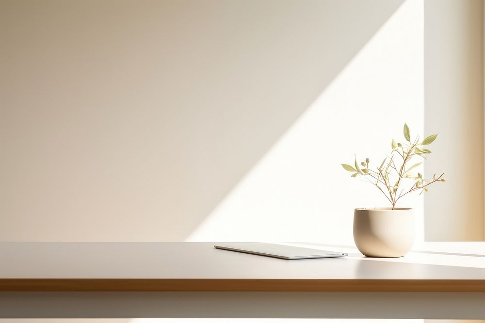 Minimalist Office Desk Windowsill Plant 