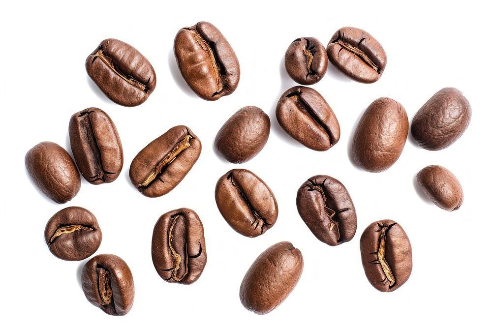 Fresh roasted coffee beans backgrounds food white background.