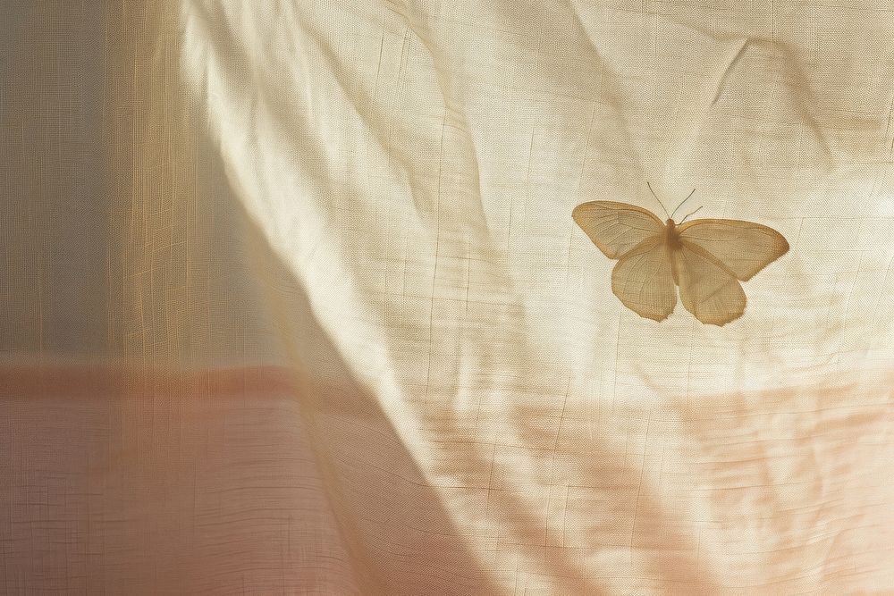 Shadow of butterfly under the curtain insect pink invertebrate.