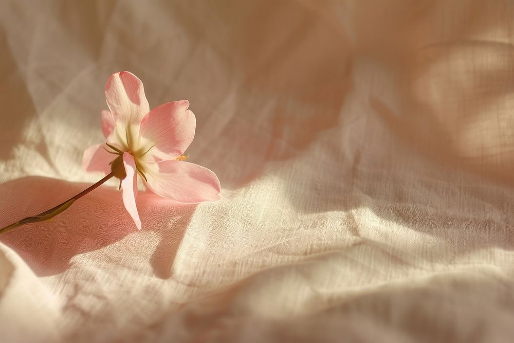 Flower on bed sheet petal plant leaf.