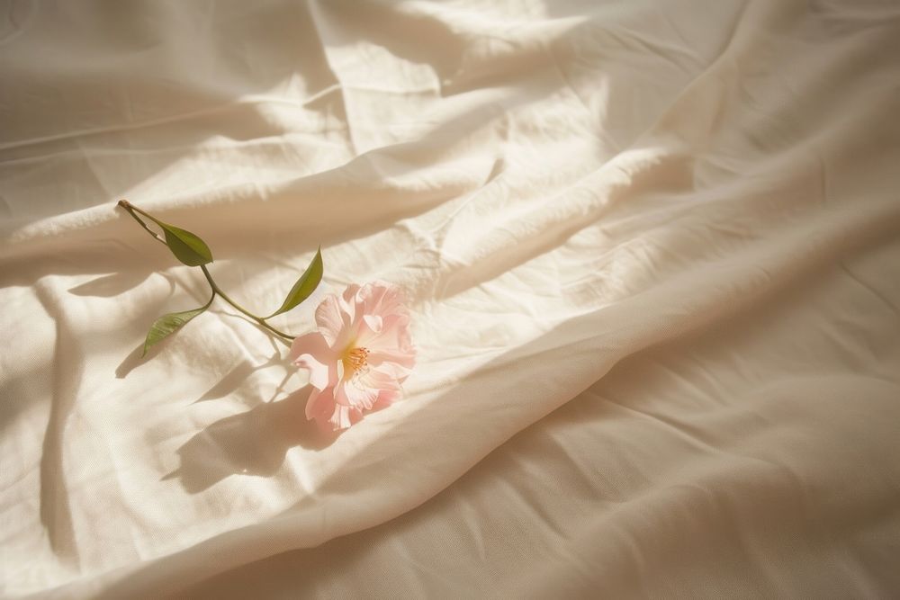 Flower on bed sheet furniture petal plant.