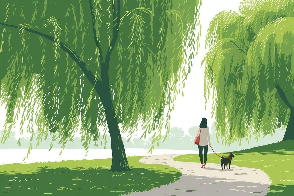 Women walking dog willow tree outdoors.