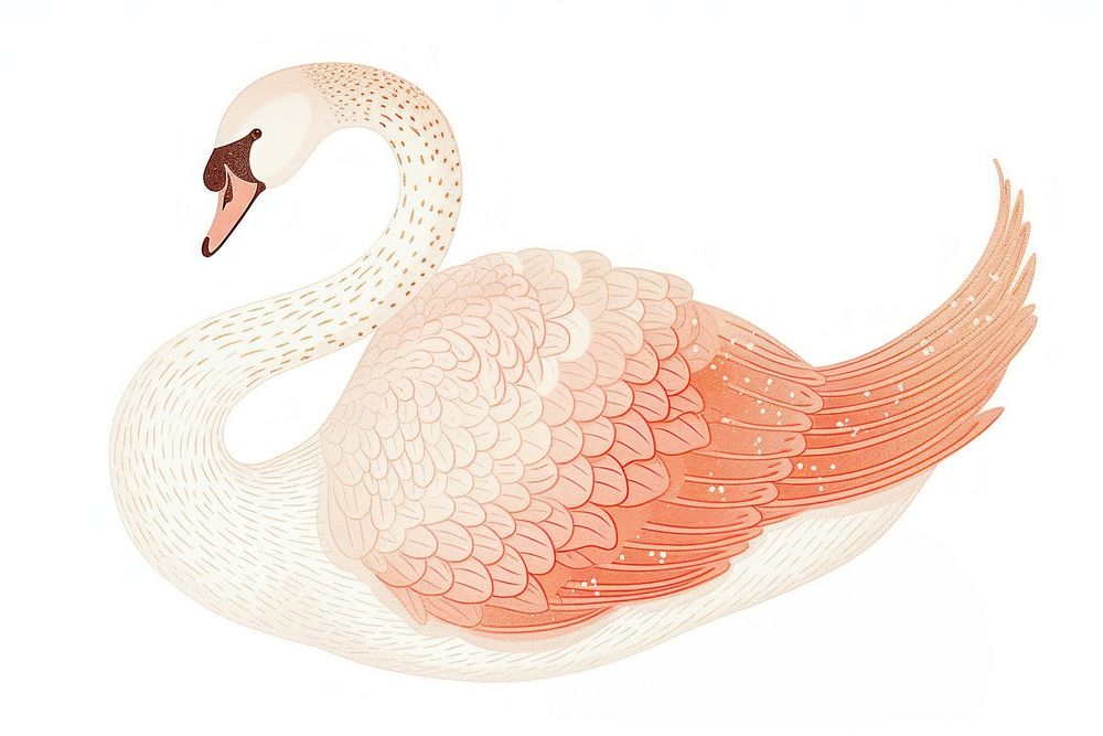 Swan flamingo animal bird.