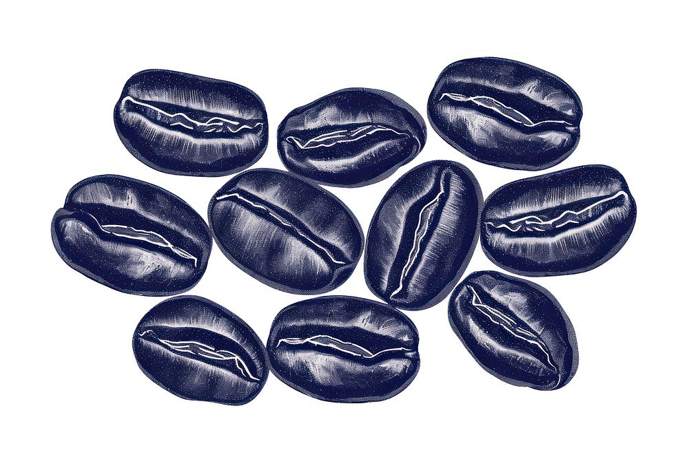 Antique of coffee bean food white background coffee beans.
