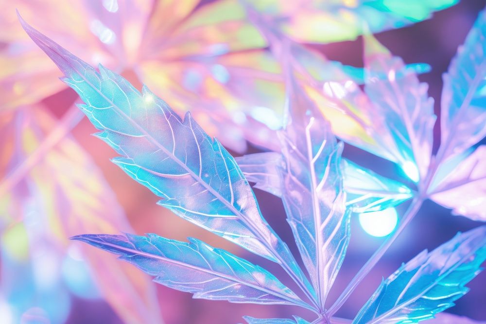 Holographic leaf texture background backgrounds plant illuminated.