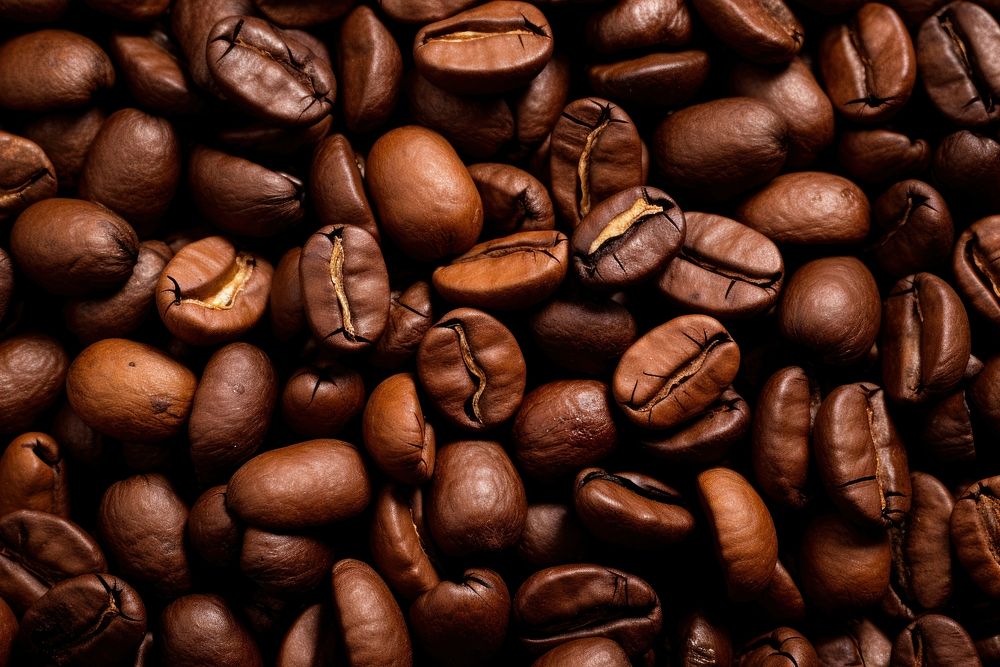 Background coffee roasted coffee beans backgrounds.