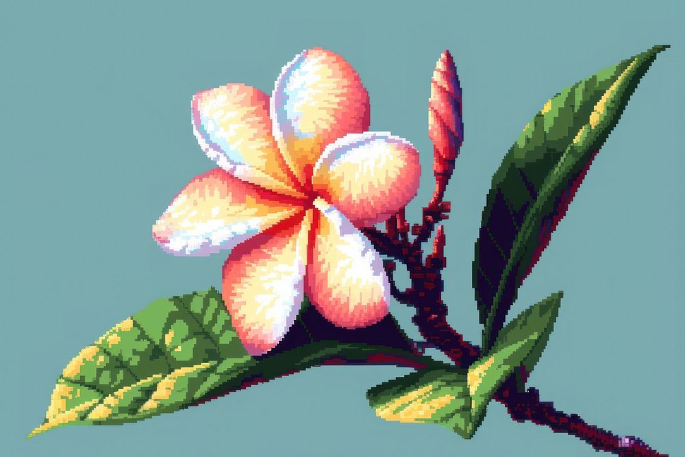 Plumeria cut pixel flower nature plant.