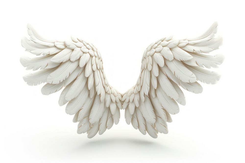 Angel white bird wing.