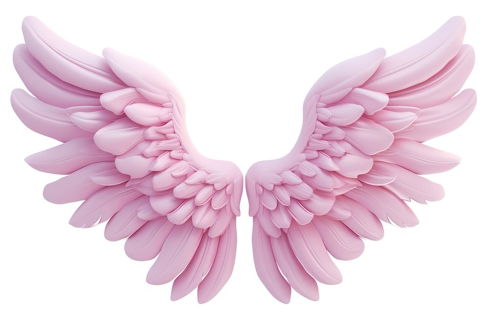Dahlia angel wing white background.