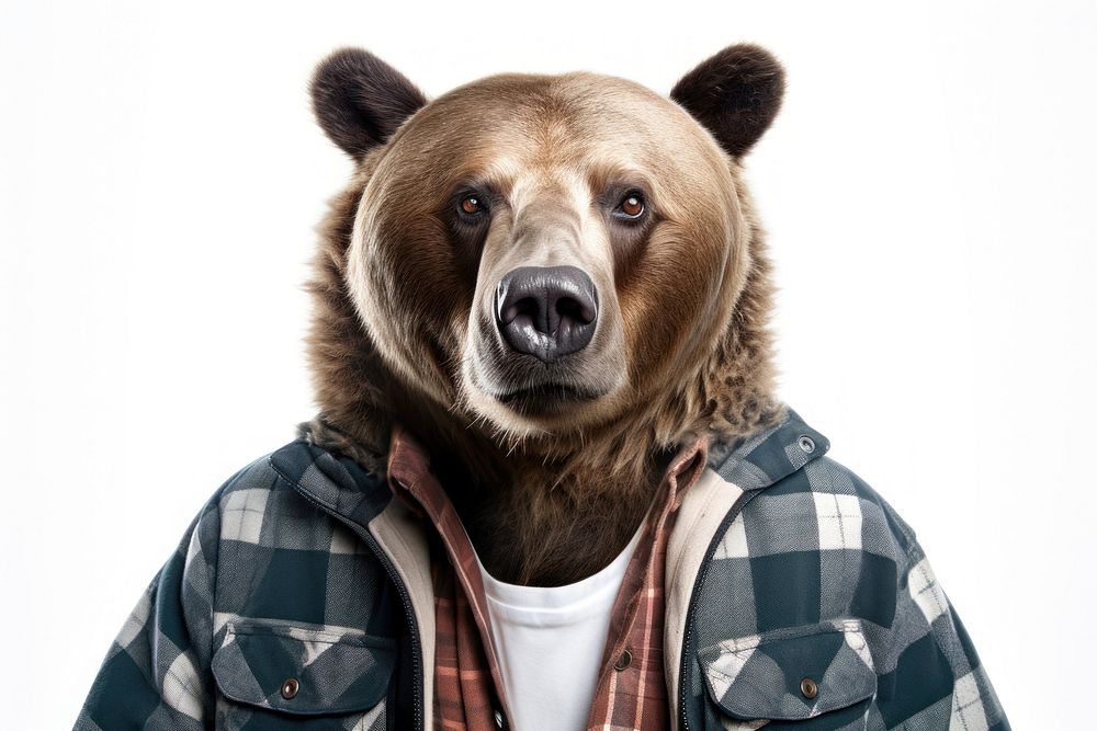 Selfie bear mammal animal white background.