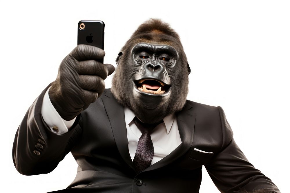 Selfie gorilla wildlife mammal animal.