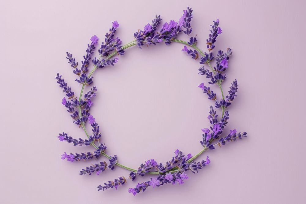 Floral frame lavender flower purple shape.