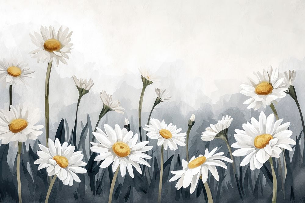 Daisy meadow monochrome backgrounds painting flower.