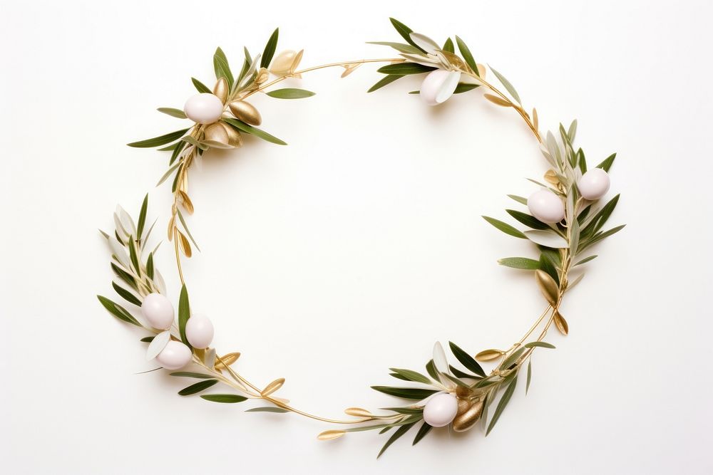 Olive branch frame wreath plant white background.