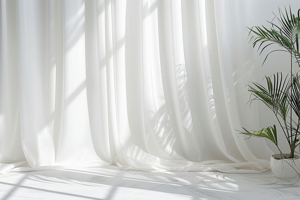 Curtain  backgrounds light plant.