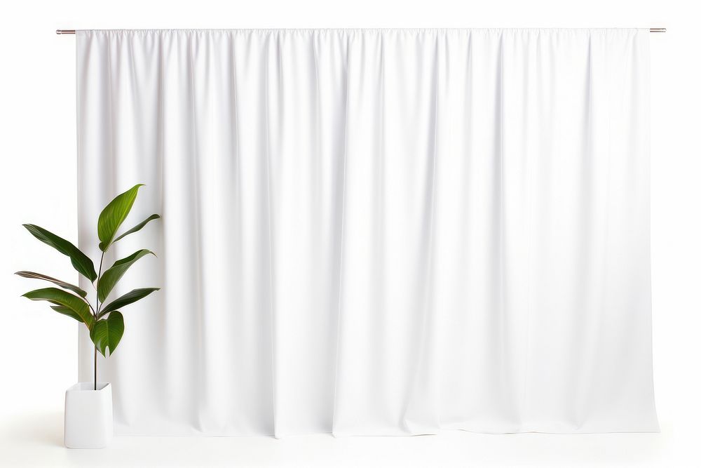 Curtain  white plant white background.