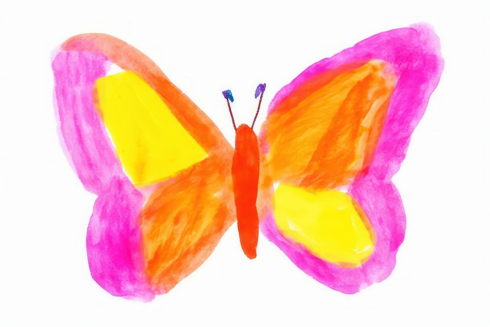Butterfly drawing petal white background.