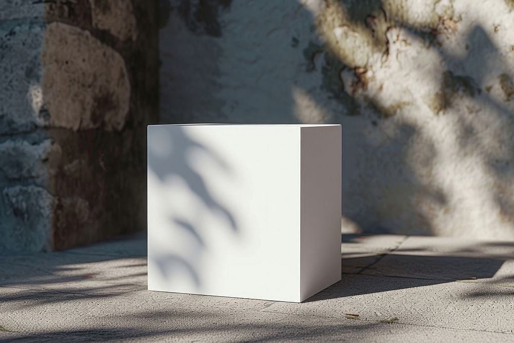 Box  architecture shadow plant.