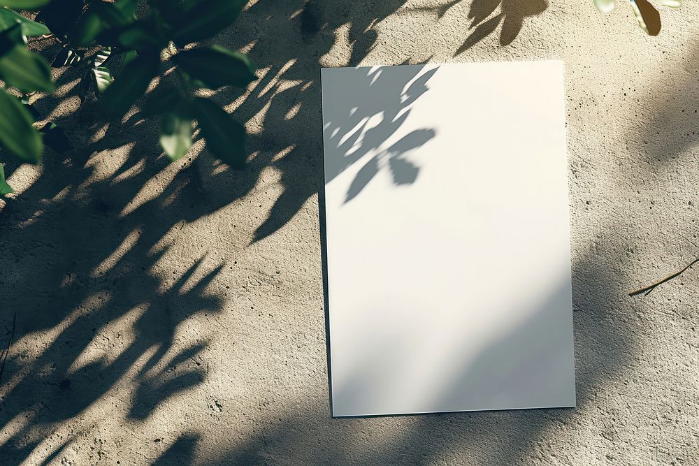 Paper  outdoors shadow white.