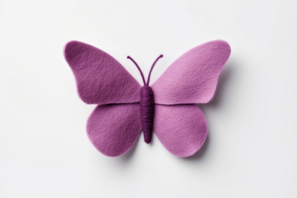 Butterfly animal purple white background.