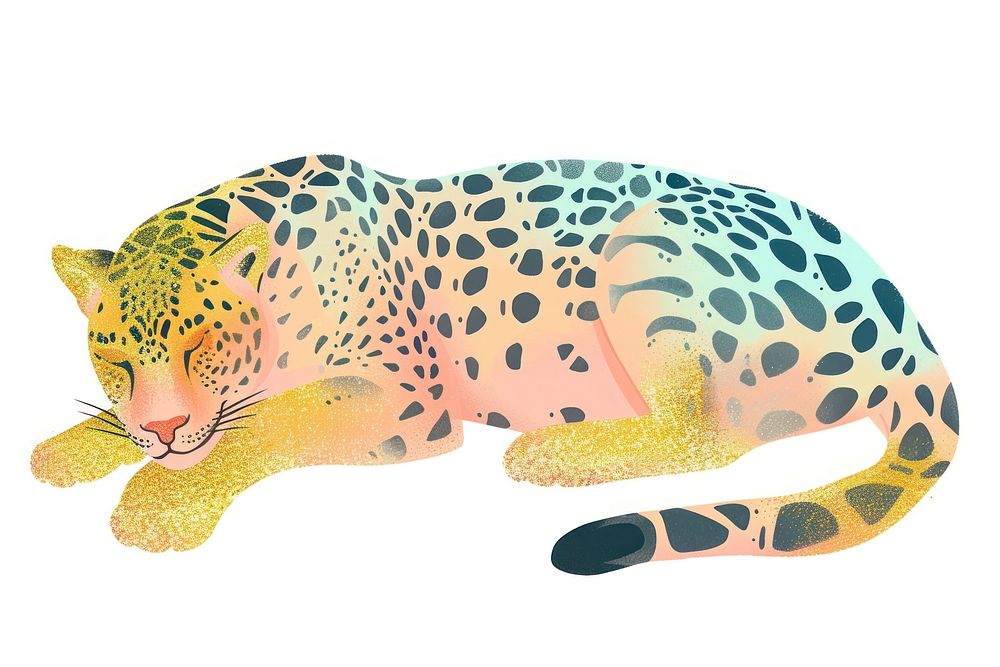 Jaguar wildlife leopard animal.