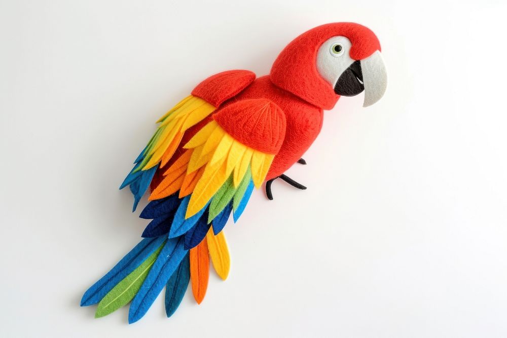 Parrot animal bird creativity.