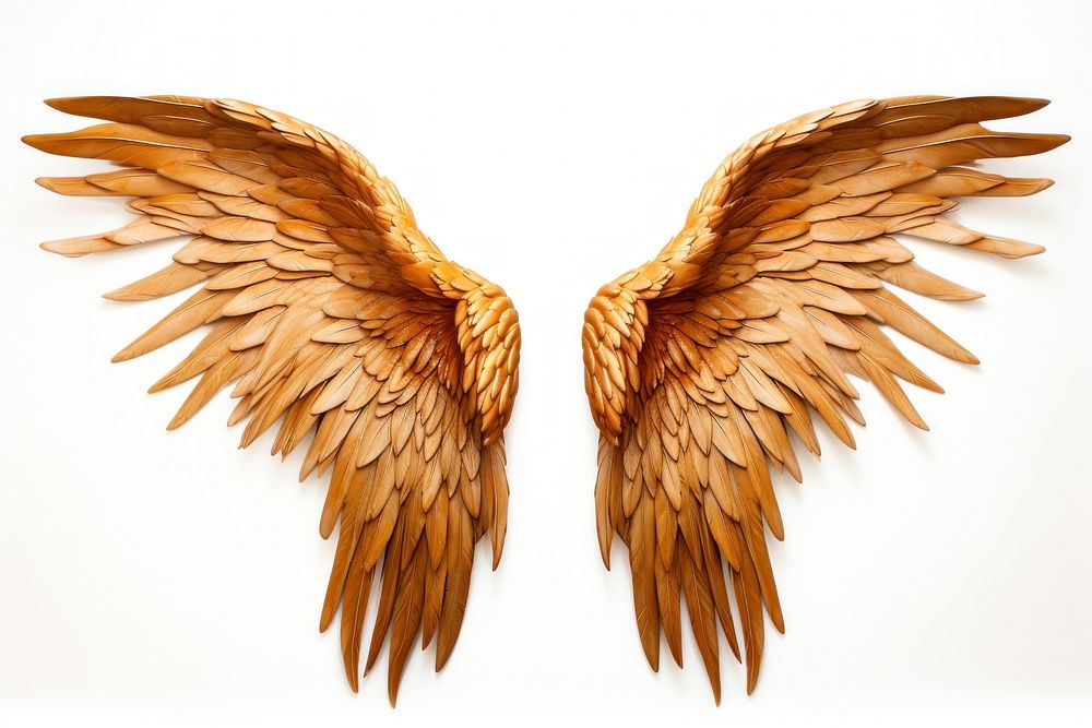 Phoenix wings angel bird wood.