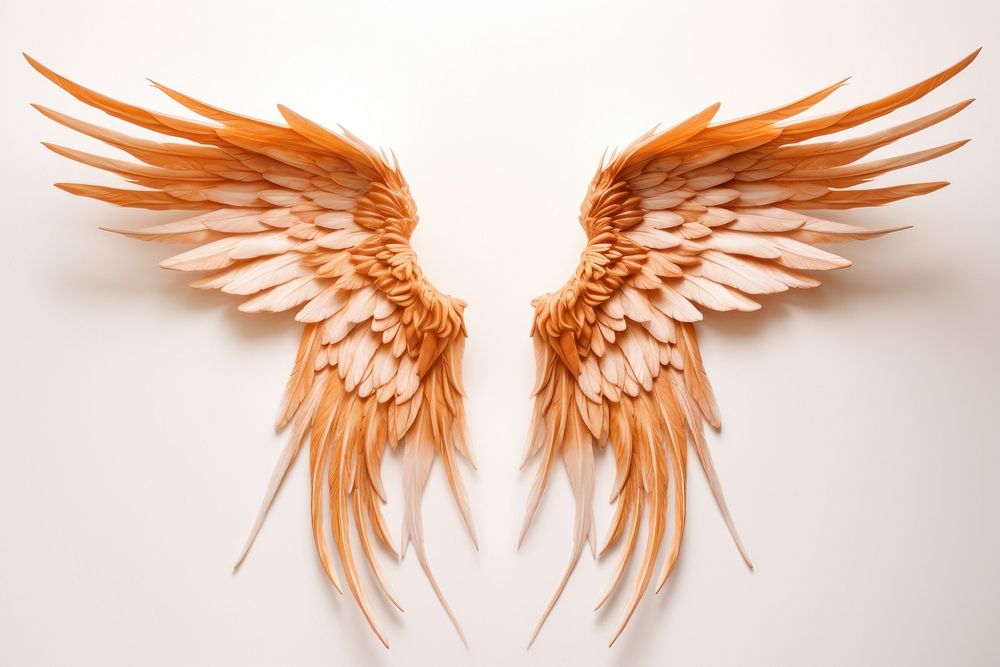 Phoenix wings creativity feather vulture.