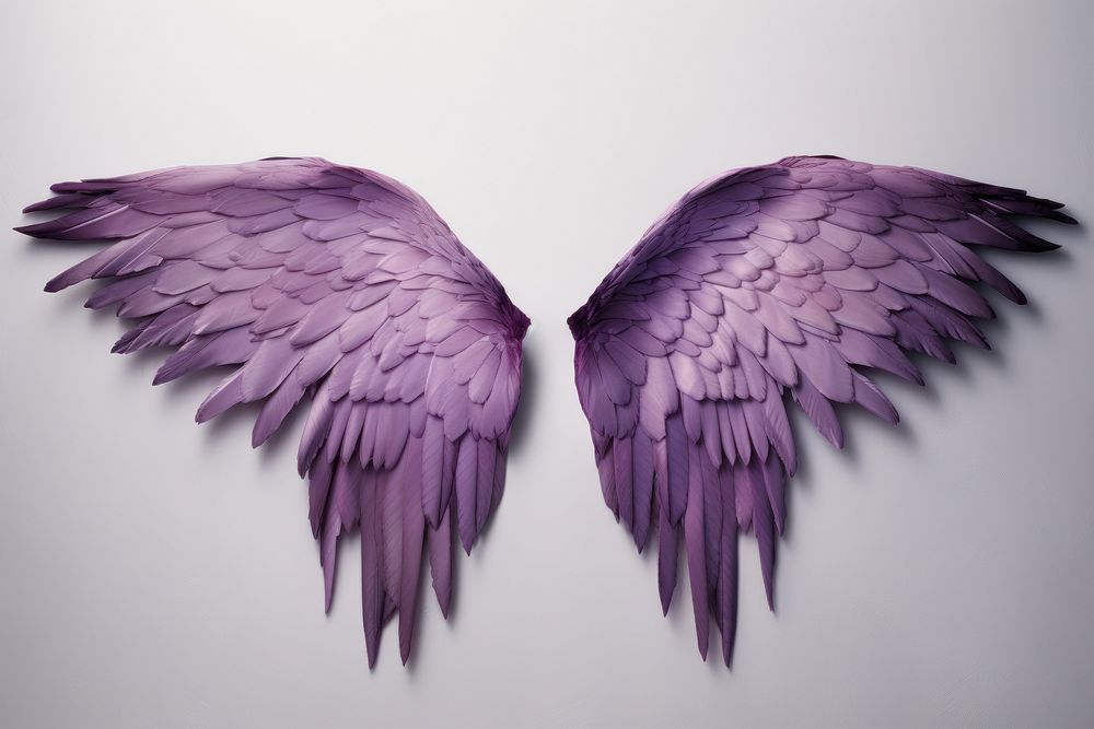 Purple wings bird accessories accessory.