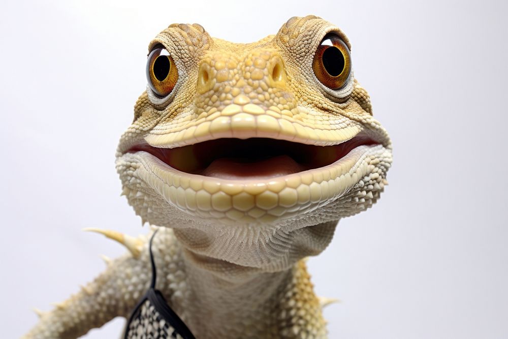 Selfie lizard reptile animal iguana.
