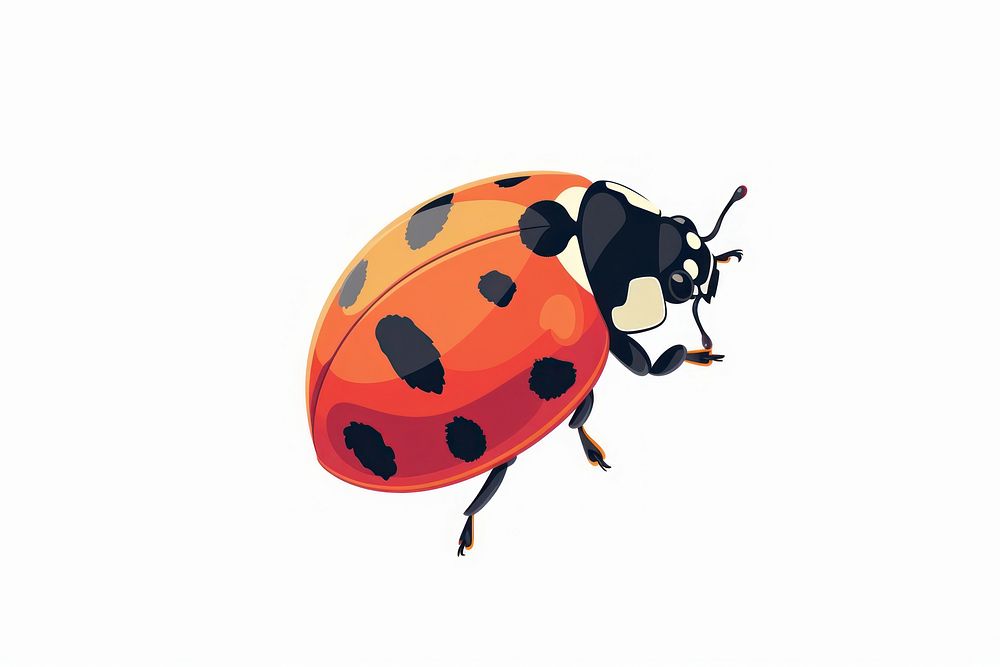 Cute Ladybug ladybug animal insect.