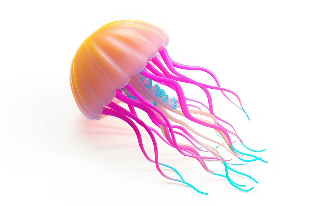 Jellyfish white background invertebrate appliance.
