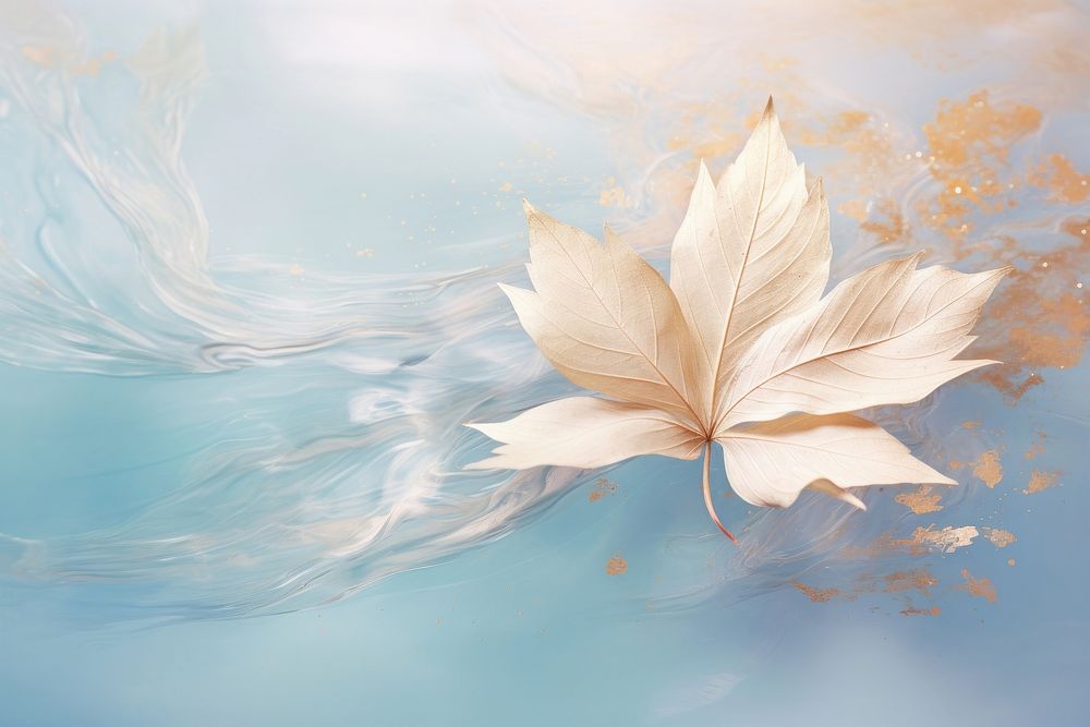 An antique chinese leaf on water backgrounds plant fragility.
