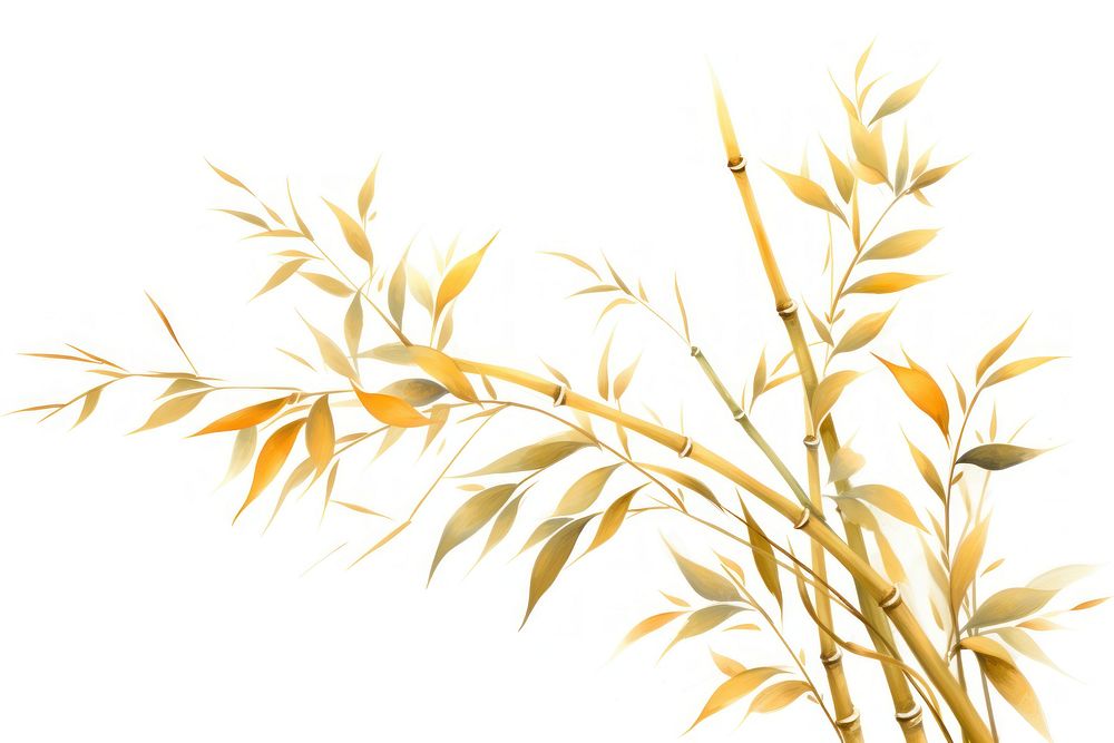 Bamboo bamboo plant gold.