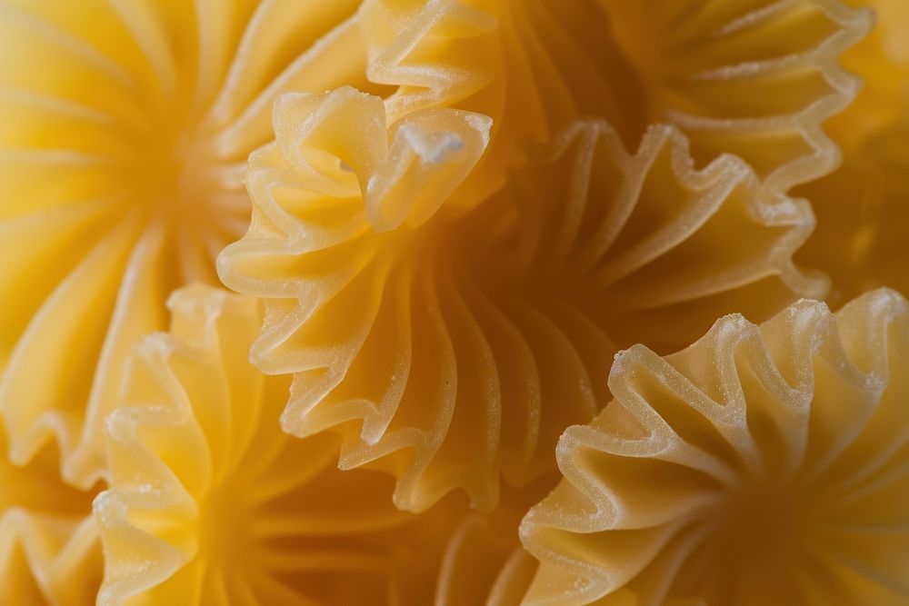 Pasta backgrounds food underwater.