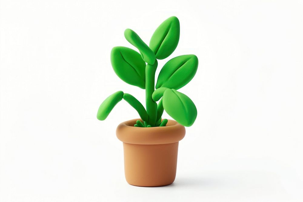 Plant leaf white background potted plant.
