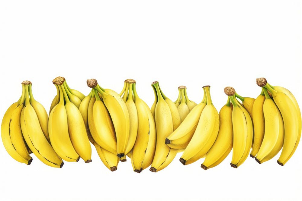 Banana line horizontal border fruit plant food.