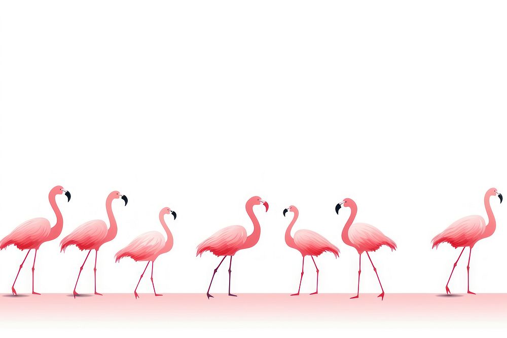 Flamingo line horizontal border animal bird white background.