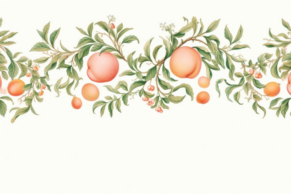 Peach line horizontal border grapefruit plant food.