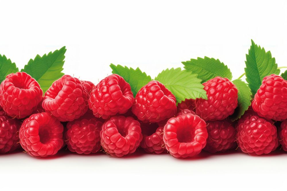 Raspberry line horizontal border fruit plant food.