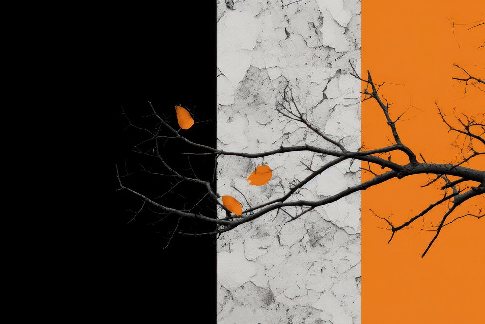 Abstract black and orange tree ripped paper outdoors plant leaf.