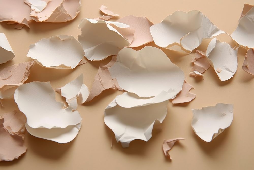 Abstract egg shells ripped paper parallel effect petal art backgrounds.