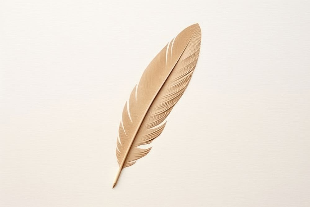 Abstract feather ripped paper leaf lightweight simplicity.